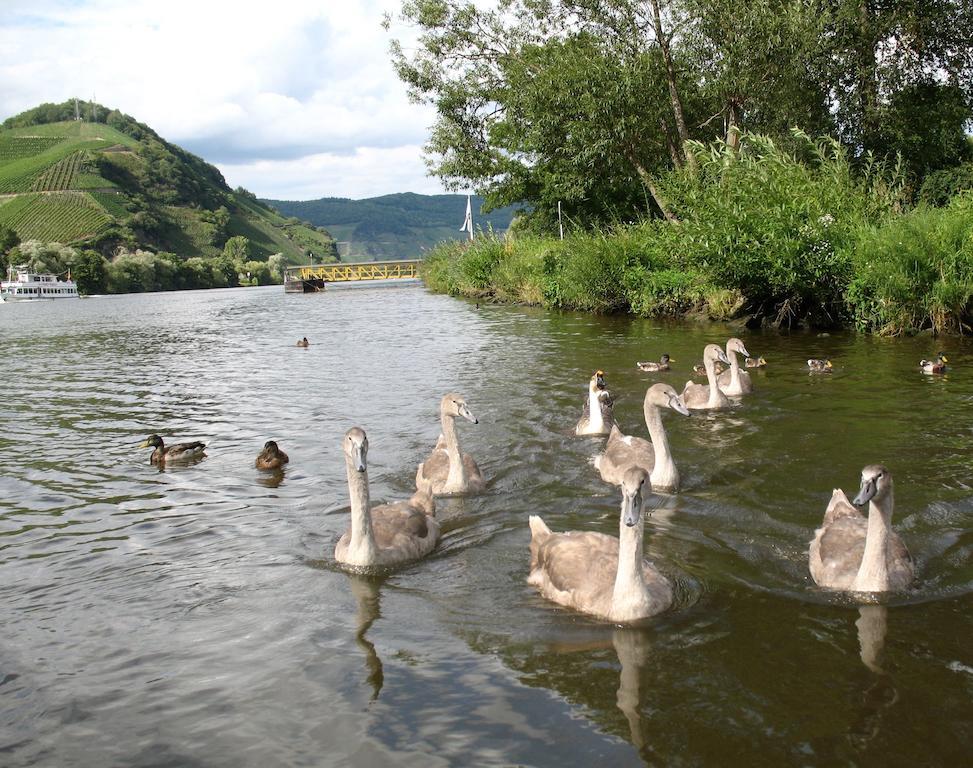 Residence Bellevue Boppard Dış mekan fotoğraf
