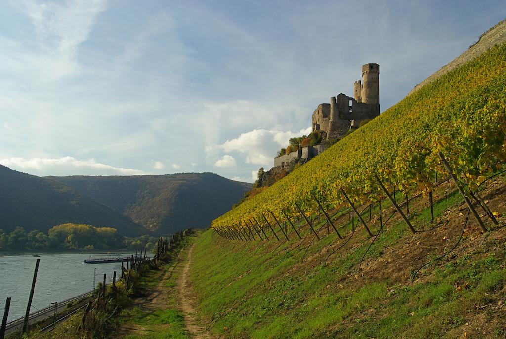 Residence Bellevue Boppard Dış mekan fotoğraf
